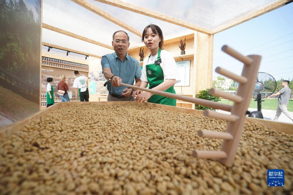 797游戏中心